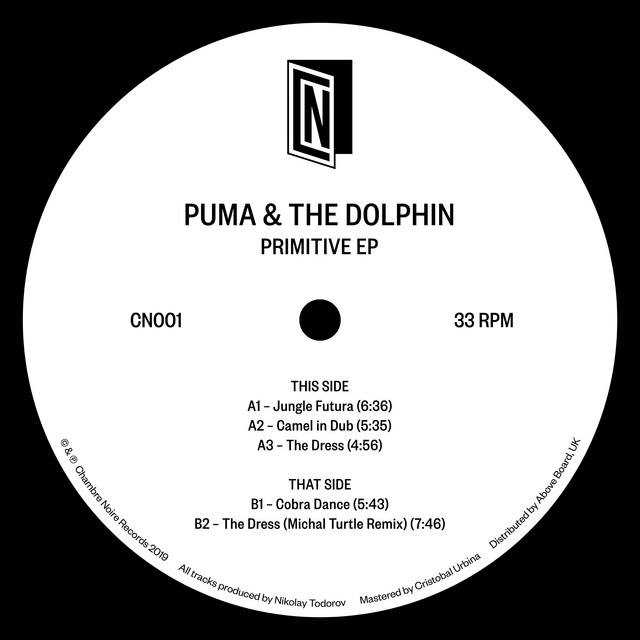 Puma & the Dolphin Photo