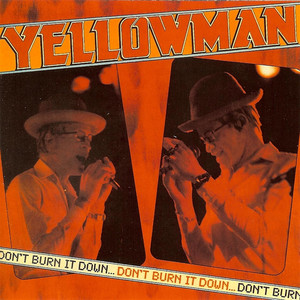Don't Burn It Down album