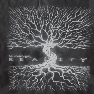 Reality cover