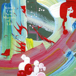 New Shapes of Life cover