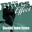 The Blues Effect - Sleepy John Estes cover