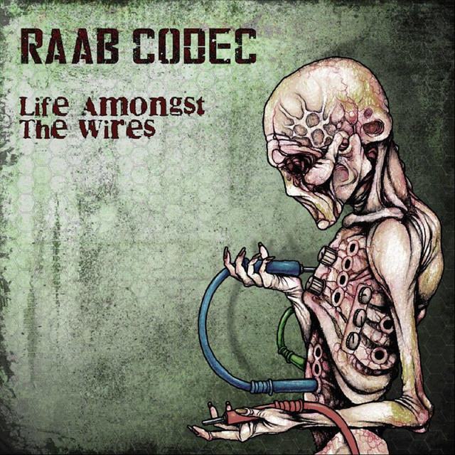 Raab Codec Photo