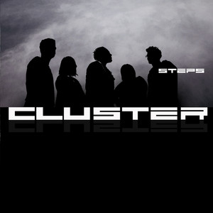 Steps cover