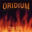 From Ashes Albumcover