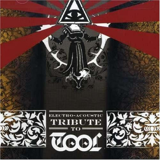 Electro-acoustic Tribute To Tool,the cover