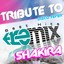 Tribute to Shakira: Medley Hits Nonstop Albumcover