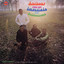 Reflections cover