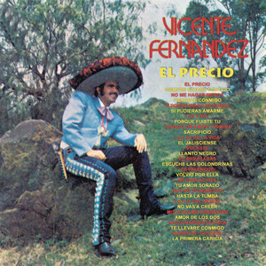 Vicente FernÃ¡ndez album