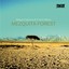 Mezquita Forest Albumcover