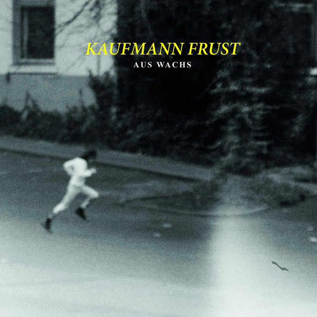 Kaufmann Frust Photo