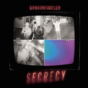 Secrecy Albumcover