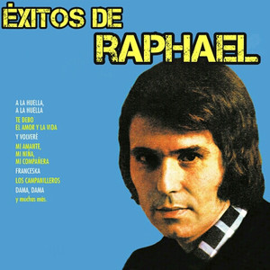Éxitos de Raphael album