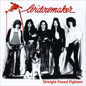 Straight Faced Fighters cover