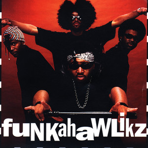 Funkahawlikz