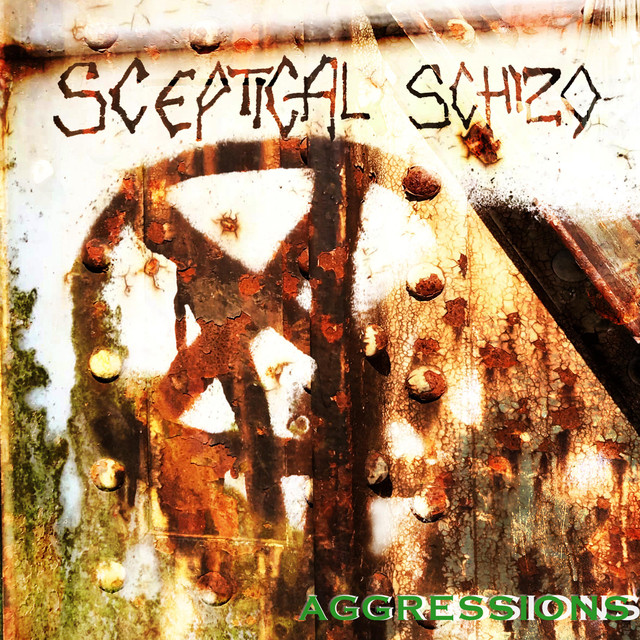 Sceptical Schizo Photo