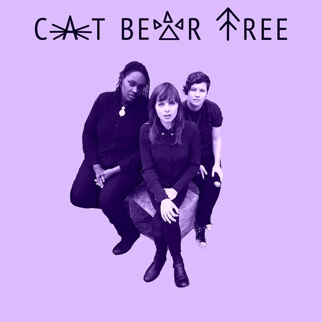 Cat Bear Tree Photo
