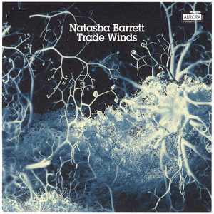 Trade Winds Albumcover