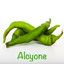 Alcyone Albumcover