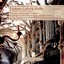 Johann Ludwig Krebs: Complete Works For Organ Vol. 7 Albumcover
