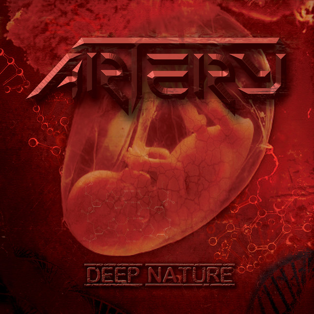 Artery Photo