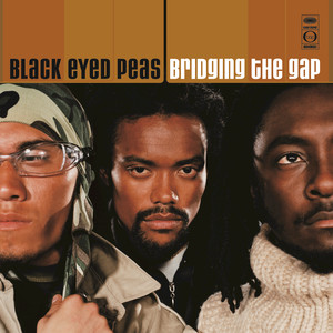 Bridging the Gap cover