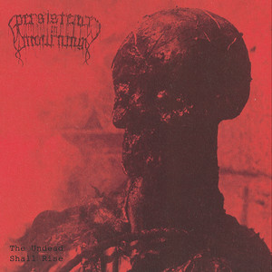 The Beginning cover