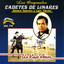 Un viejo amor cover