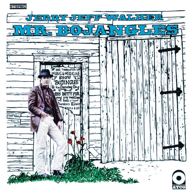 Mr. Bojangles cover