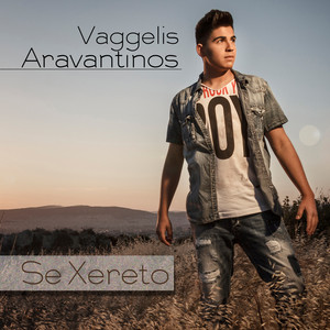 Vaggelis Aravantinos