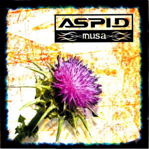 Musa cover