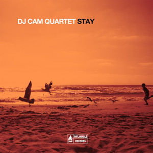 Stay cover