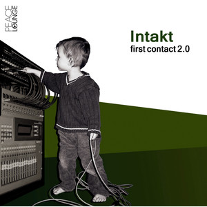 Intakt poster