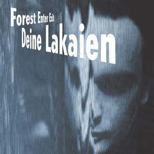 Forest Enter Exit album