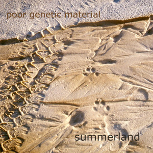 Summerland cover