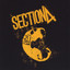 Section 4 Albumcover
