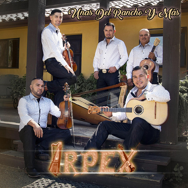 Arpex