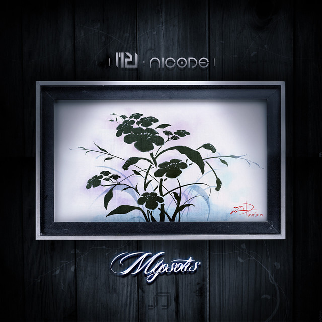 NICODE Photo
