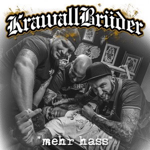 Mehr Hass cover