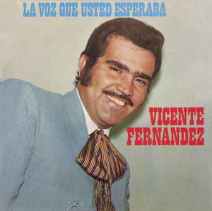 La voz que usted esperaba cover