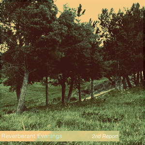 Reverberant Evenings Photo