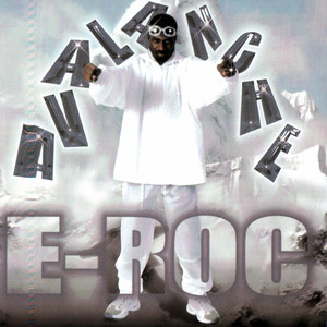 Avalanche cover
