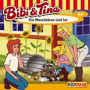 Folge 63: Die Waschbären sind los Audiobook
