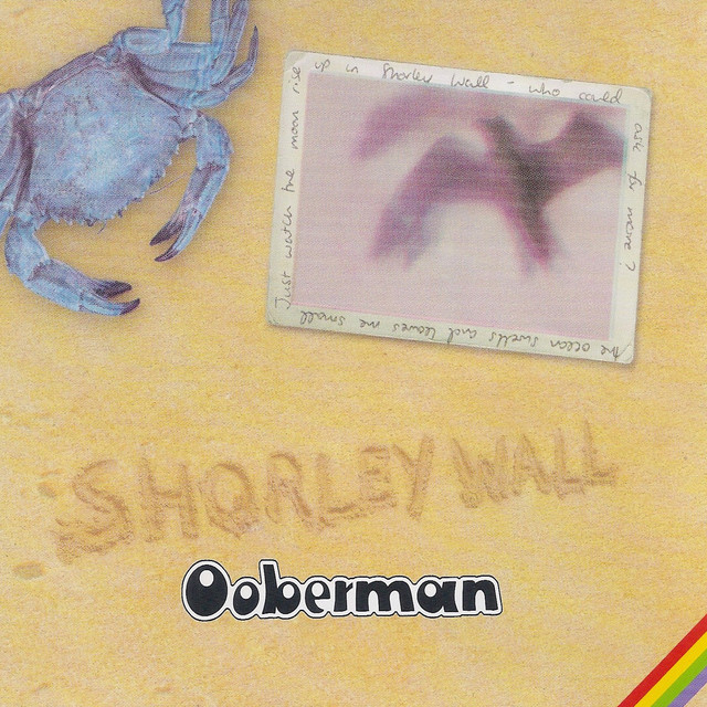 Shorley Wall cover