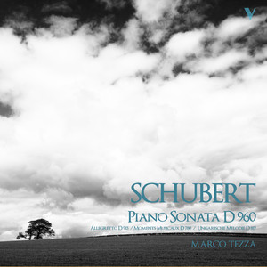 Schubert: Piano Sonata No. 21, D. 960, 6 Moments musicaux, D. 780, Allegretto, D. 915 & Ungarische Melodie, D. 817 album