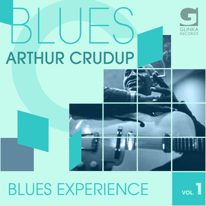 Blues Experience, Vol. 1 cover