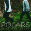 Polars