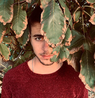 Dracma Photo