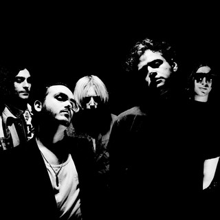 Phobophobes Photo