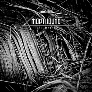 Spindrift cover