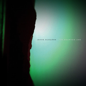 The Mountain Lake cover